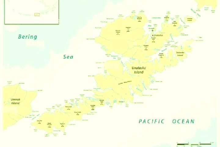 Ivy, 39 — Escort in Unalaska, United States