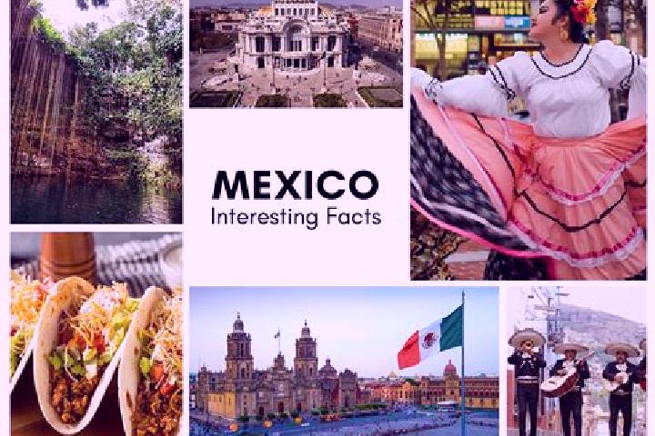 Jade, 20 — Escort in Maxmadi, Mexico