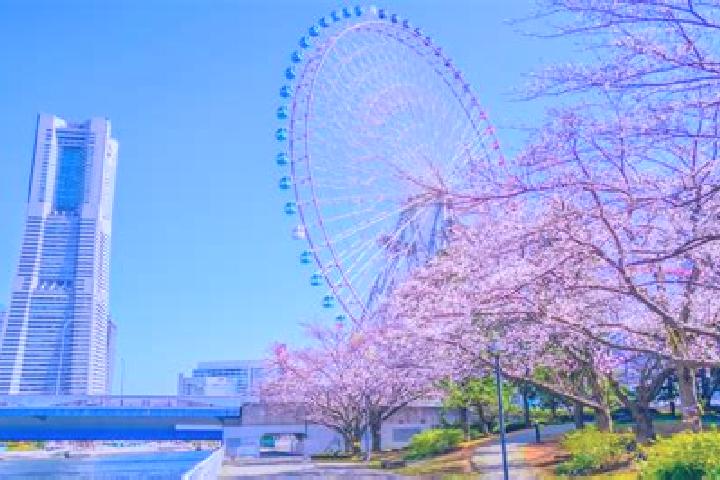 Jade, 20 — Escort in Minatomirai, Japan