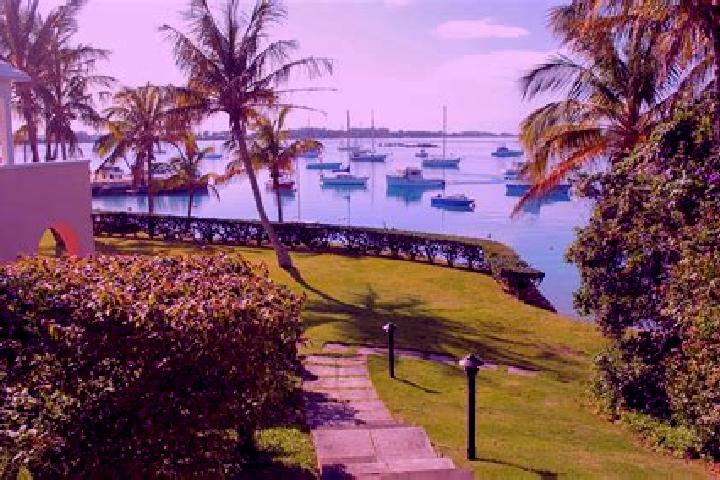 Jade, 20 — Escort in Sandys Parish, Bermuda