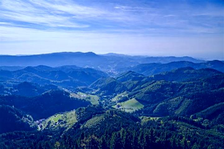 Jade, 20 — Escort in Sankt Georgen im Schwarzwald, Germany