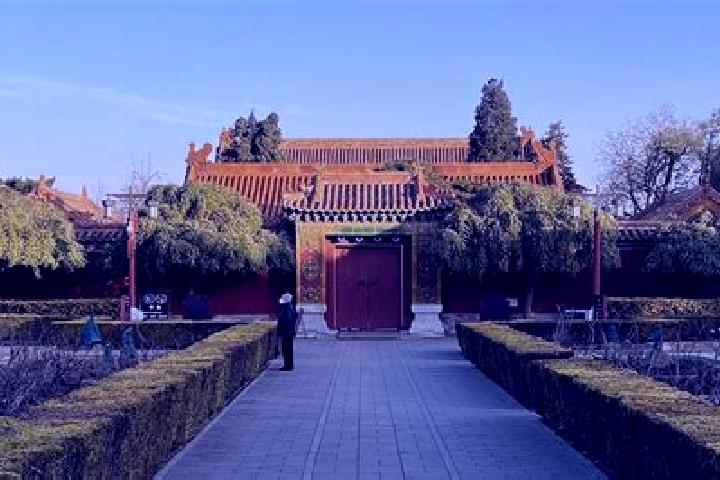 Jade, 21 — Escort in Jingshan, China