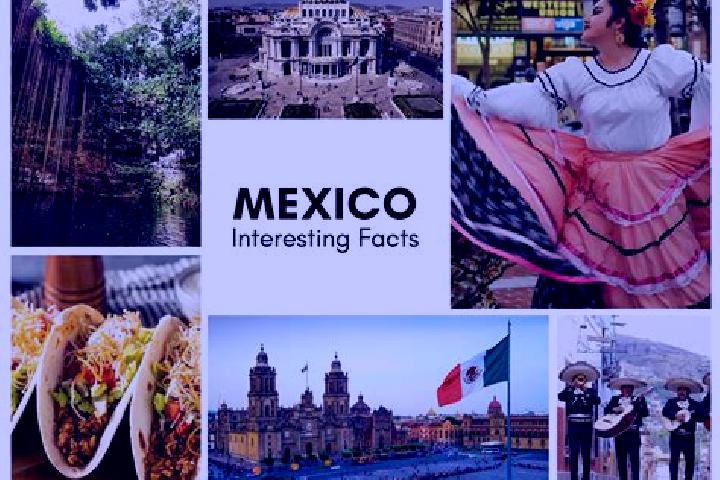 Jade, 21 — Escort in Jitzamuri, Mexico