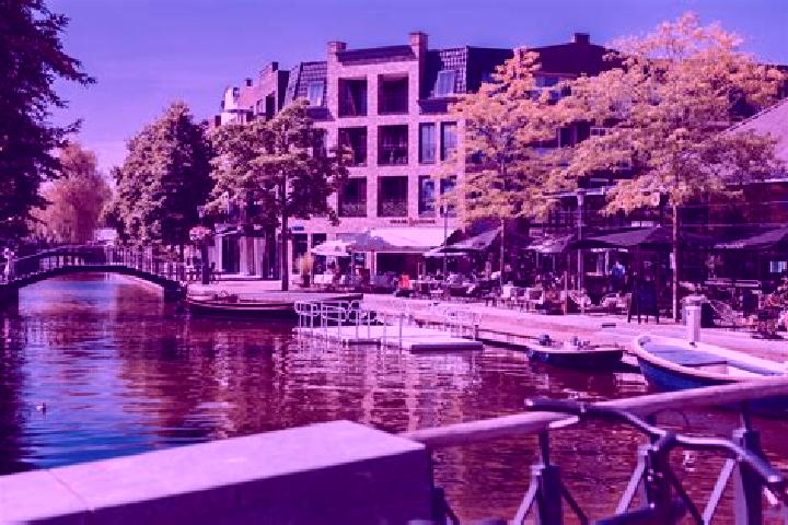 Jade, 21 — Escort in Nieuw-Beijerland, Netherlands