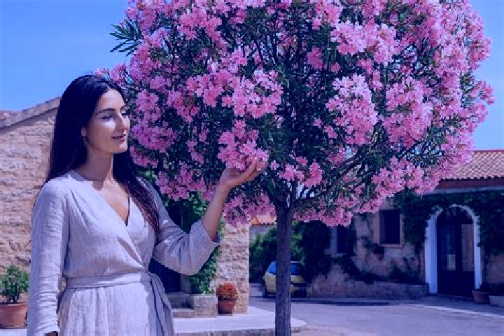 Jade, 21 — Escort in Sernhac, France