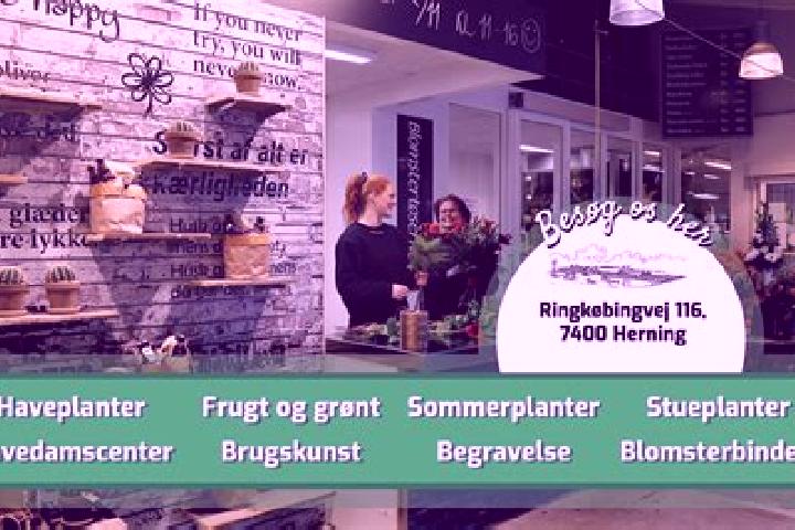 Jade, 21 — Escort in Snejbjerg, Denmark