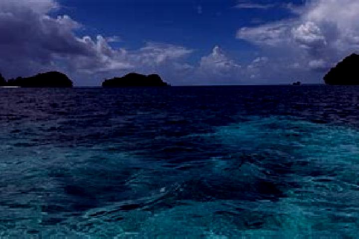 Jade, 22 — Escort in Sonsorol Village, Palau