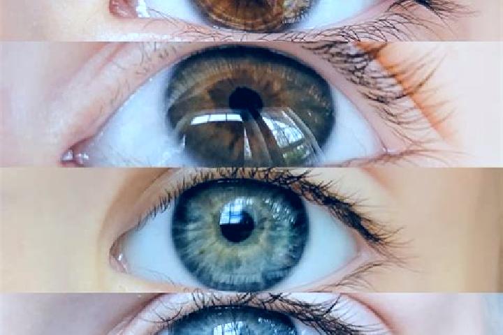 Jade, 23, a chestnut grey-eyed mixed companion based in Stahlhofen. Offering Dinner Date, A-Level, Domination. Available for incall and outcall, day and even...