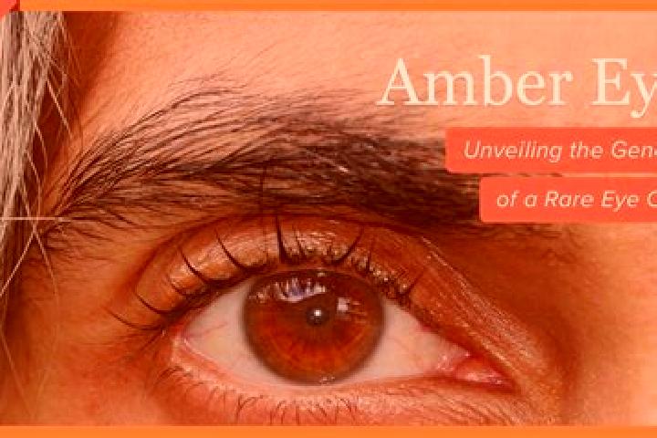Jade, 23, a red amber-eyed caribbean companion based in Umbrias. Offering Overnight, Roleplay, Striptease, Prostate Massage. Available for incall and outcall...