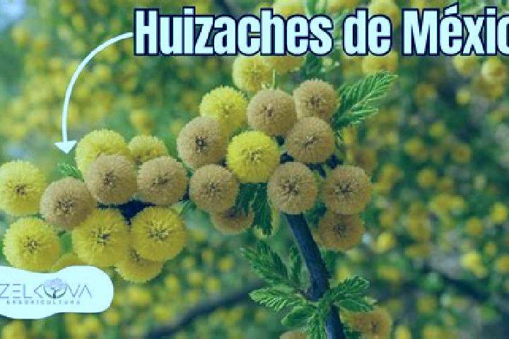Jade, 23 — Escort in Entronque de Matehuala (El Huizache), Mexico