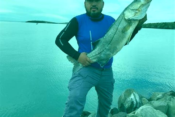 Jade, 23 — Escort in Ladrillera Pescador, Mexico