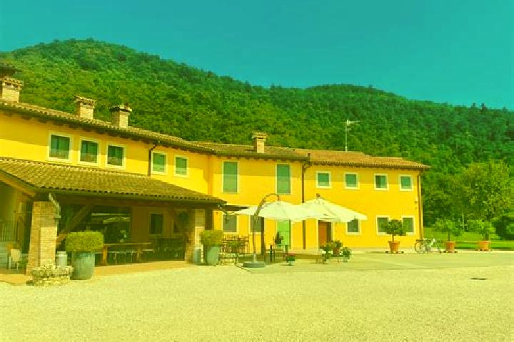 Jade, 23 — Escort in San Martino Bassa, Italy