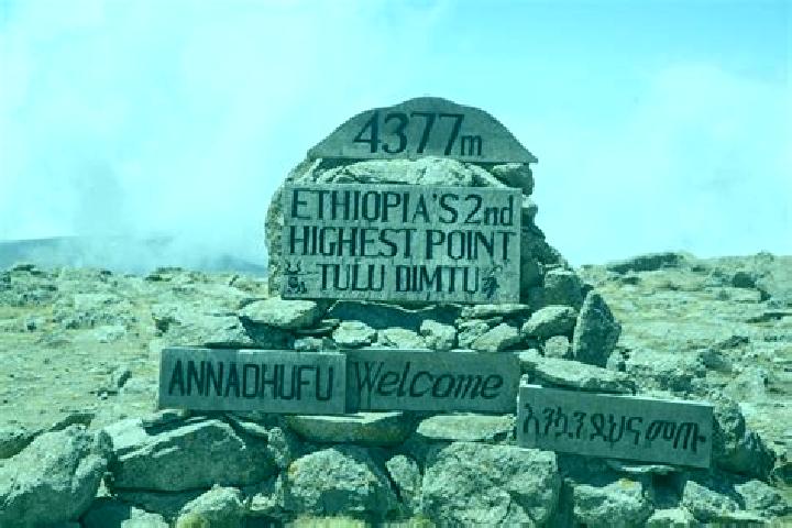 Jade, 23 — Escort in Tulu Bolo, Ethiopia