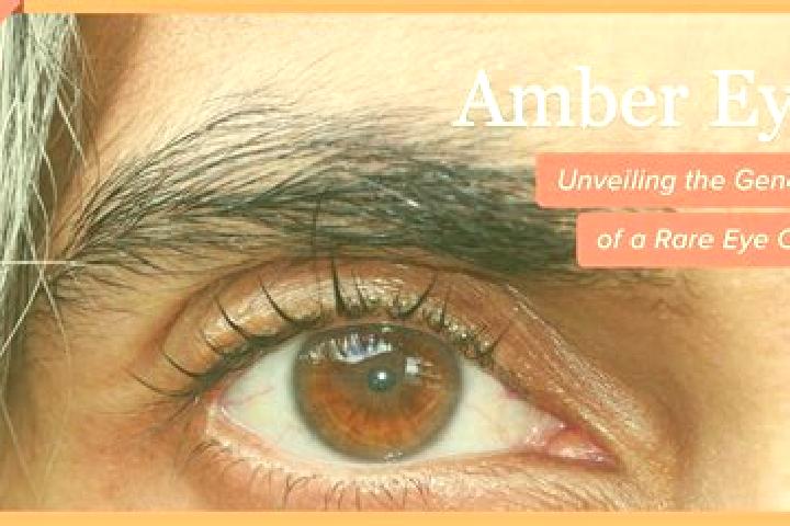 Jade, 24, a black amber-eyed european companion based in Huacapa y Amestoy. Offering CIM, Party Girl, Overnight, Couples, Striptease. Available for incall an...