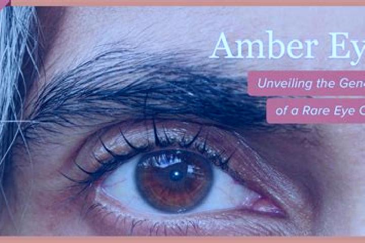 Jade, 24, a black amber-eyed mixed companion based in Velburg. Offering Striptease, CIM, Overnight, Massage. Available for incall and outcall, day and evenin...