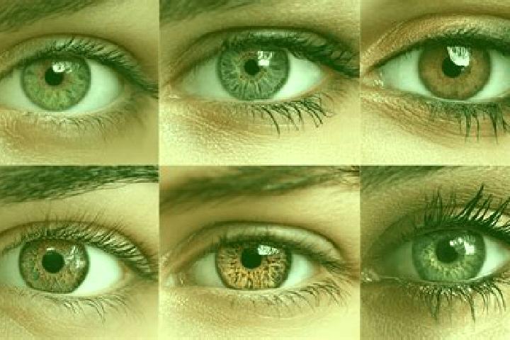 Jade, 24, a black hazel-eyed mediterranean companion based in Congregacion Reforma. Offering A-Level, 69, Roleplay. Available for incall and outcall, day and...