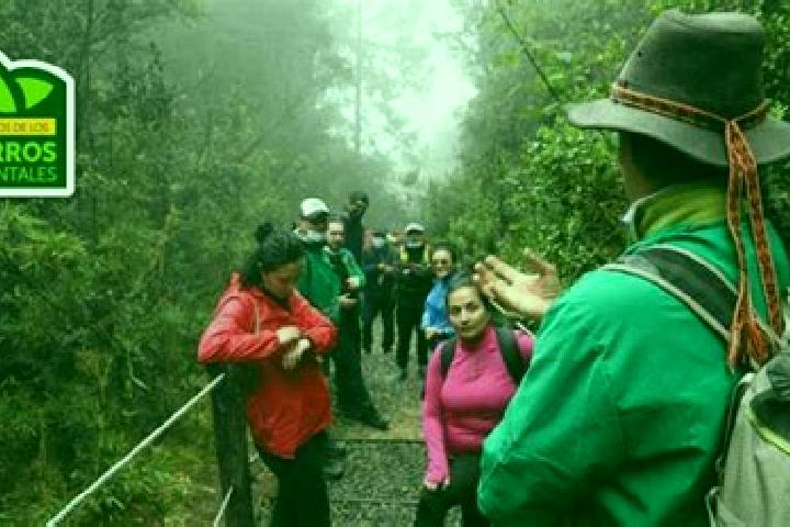 Jade, 24 — Escort in Alto de la Cruz, Peru
