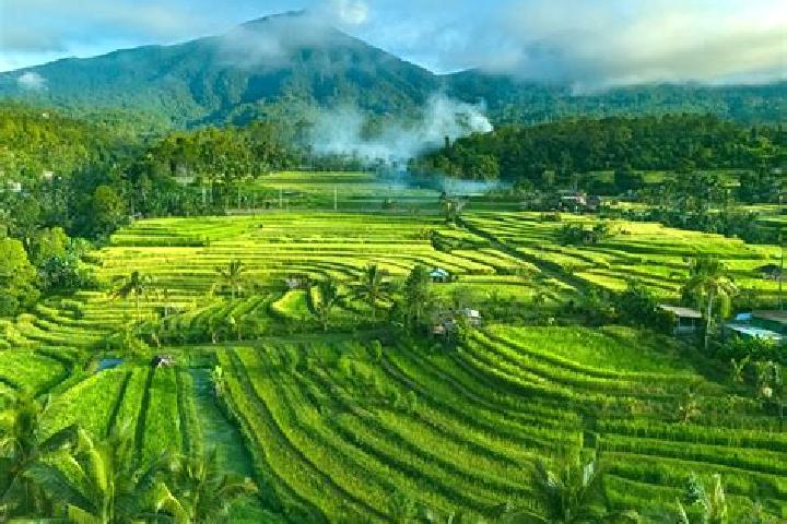 Jade, 24 — Escort in Banjar Ababi, Indonesia
