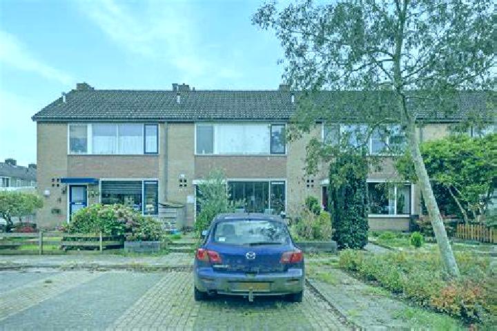 Jade, 24 — Escort in Geesbrug, Netherlands