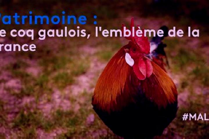 Jade, 24 — Escort in Landes-le-Gaulois, France