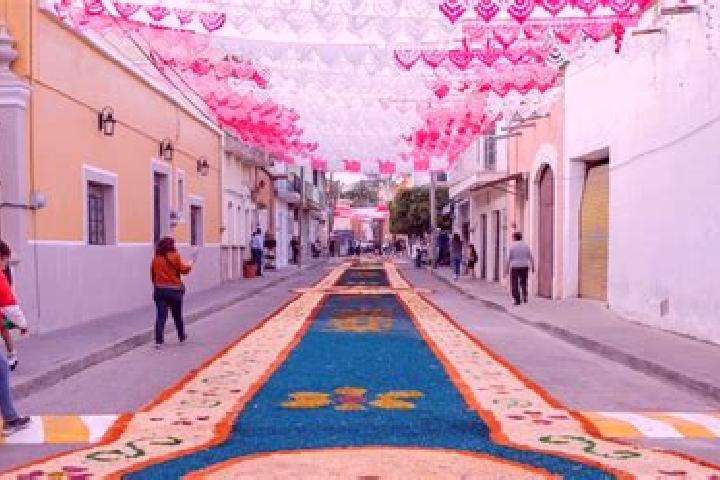 Jade, 24 — Escort in Yahualica, Mexico