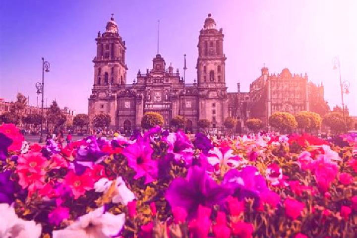 Jade, 25 — Escort in Ciudad Camargo, Mexico