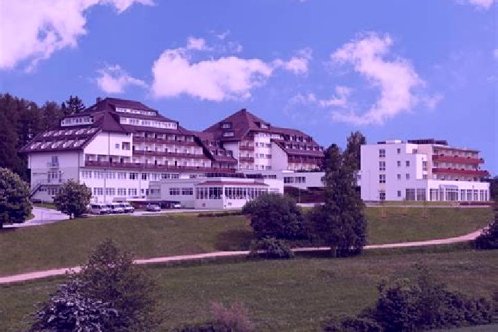 Jade, 26 — Escort in Laab im Walde, Austria