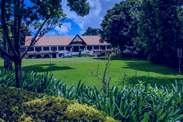Jade, 26 — Escort in Limuru, Kenya