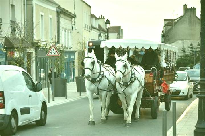 Jade, 26 — Escort in Montgeron, France
