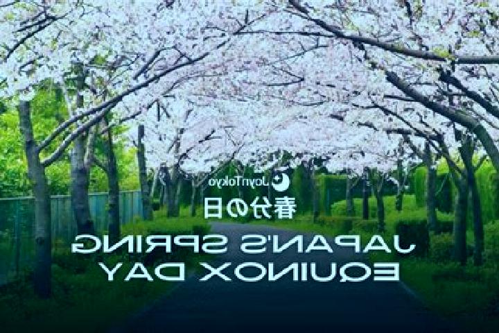 Jade, 26 — Escort in Oshiage, Japan