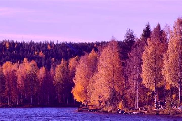Jade, 28 — Escort in Kemijaervi, Finland