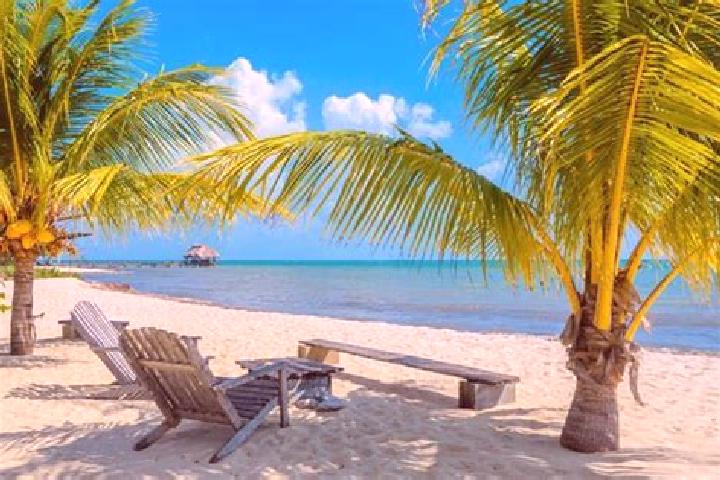 Jade, 28 — Escort in Little Belize, Belize
