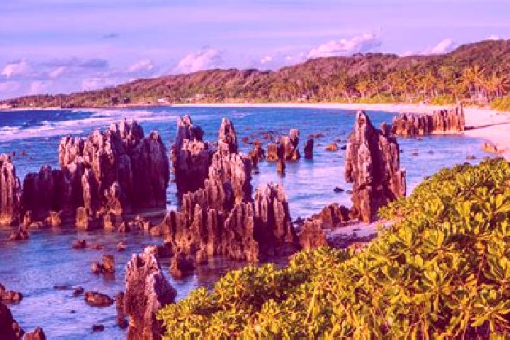 Jade, 28 — Escort in Menen, Nauru