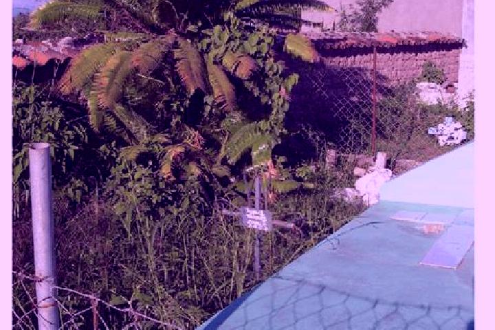 Jade, 28 — Escort in Punuare, Honduras