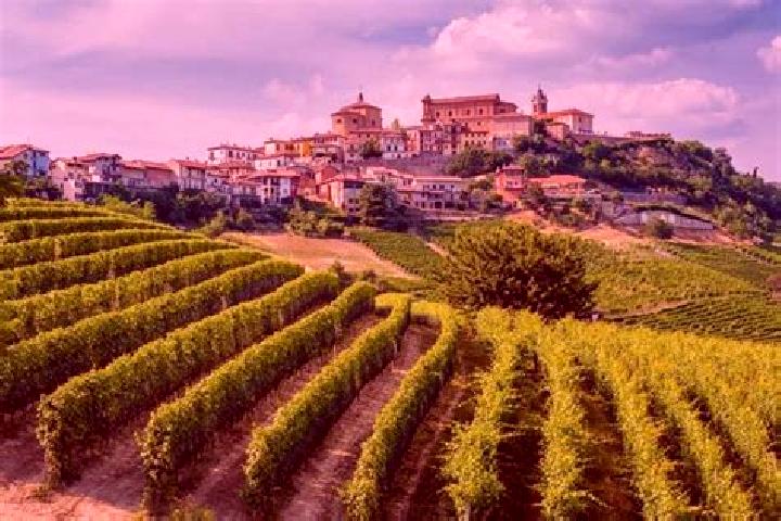 Jade, 28 — Escort in Serravalle Langhe, Italy