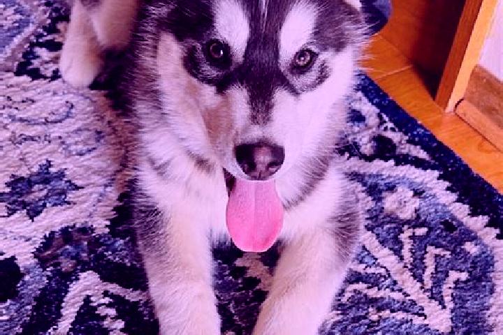 Jade, 29, a black brown-eyed caucasian companion based in Waslala. Offering Travel Companion, Couples, CIM. Available for incall and outcall, overnight booki...