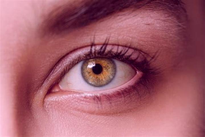 Jade, 29, a chestnut hazel-eyed mixed companion based in Monagrillo. Offering Erotic Massage, Roleplay, Overnight, Prostate Massage, Couples. Available for i...