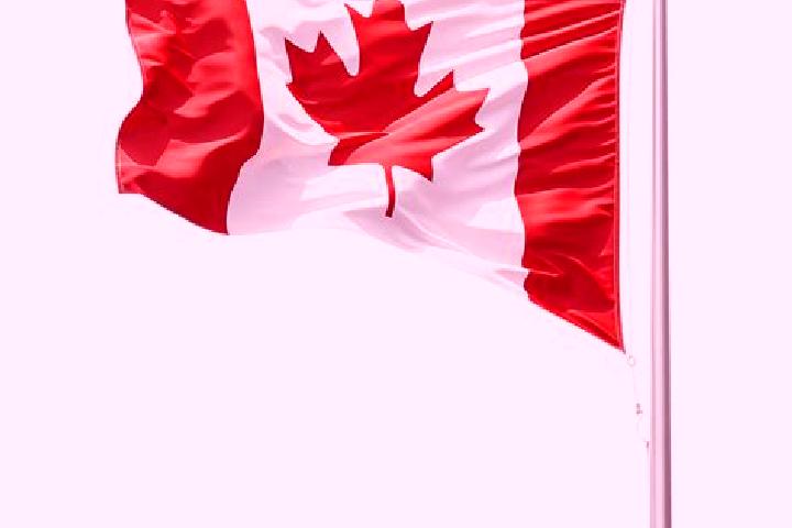 Jade, 29 — Escort in Gellatly, Canada