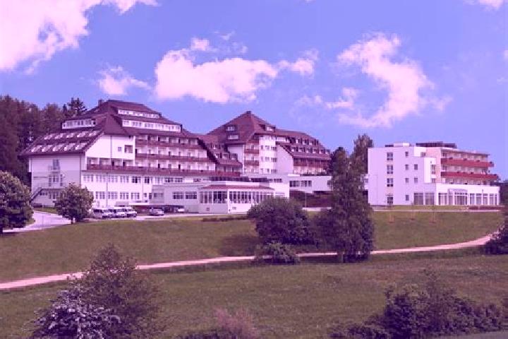 Jade, 29 — Escort in Laab im Walde, Austria
