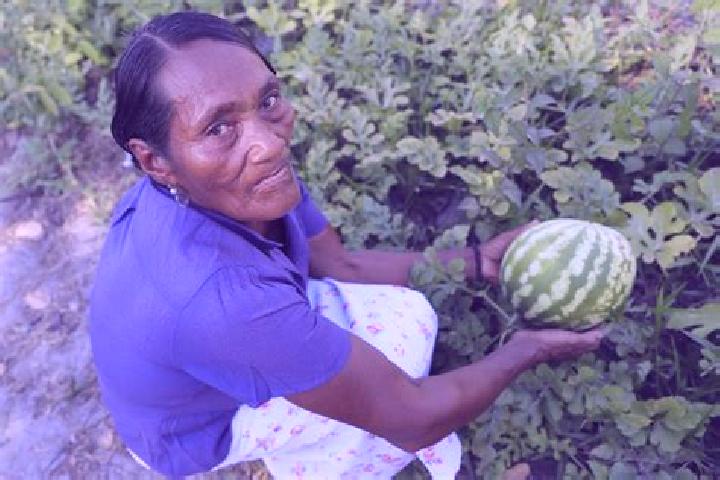 Jade, 29 — Escort in Palkaka, Honduras