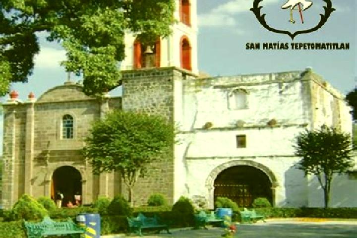 Jade, 29 — Escort in San Matias Tepetomatitlan, Mexico