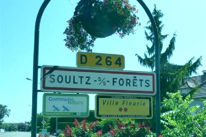 Jade, 29 — Escort in Soultz-sous-Forets, France