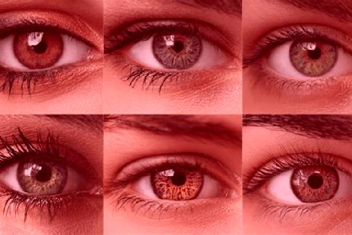 Jade, 30, a red hazel-eyed middle eastern companion based in Tarnowskie Gory. Offering Tantra, A-Level, Striptease, BDSM. Available for incall and outcall, d...
