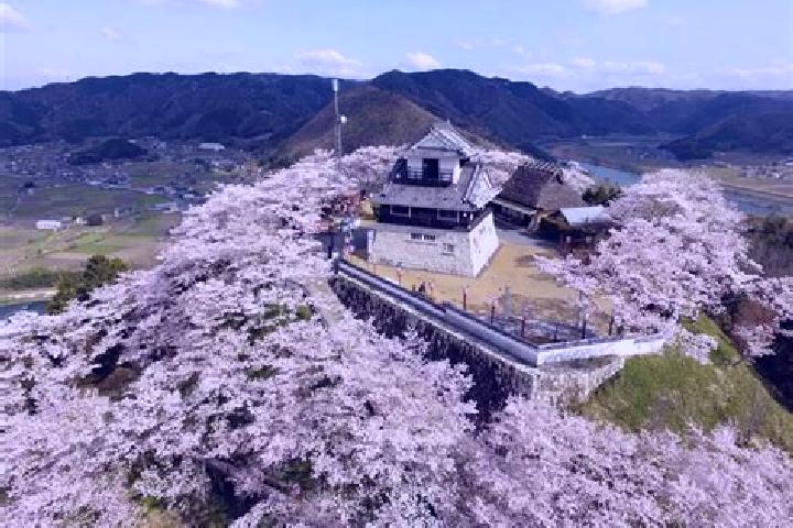 Jade, 30 — Escort in Akaiwa, Japan