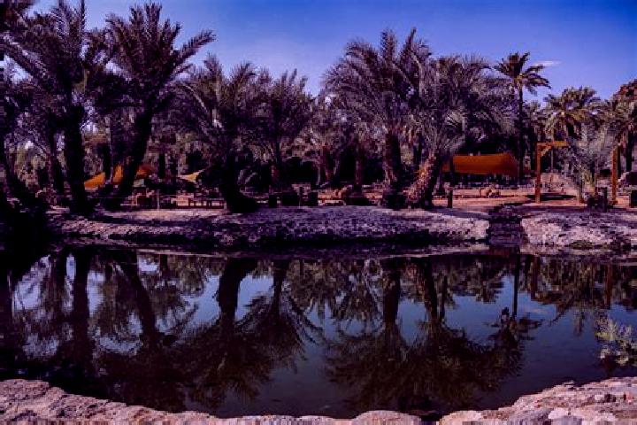 Jade, 30 — Escort in Al Qatif, Saudi Arabia