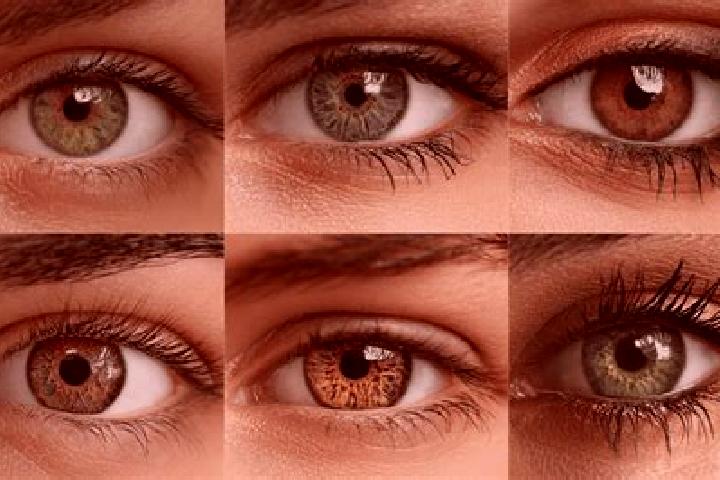 Jade, 31, a chestnut hazel-eyed middle eastern companion based in Csepel-Kiralyerdo. Offering Dinner Date, Roleplay, Overnight. Available for incall and outc...