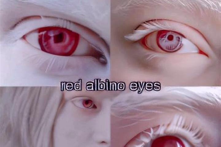Jade, 31, a red grey-eyed mixed companion based in Albion. Offering OWO, Duos, CIM, Roleplay, Tantra. Available for incall and outcall, overnight bookings av...