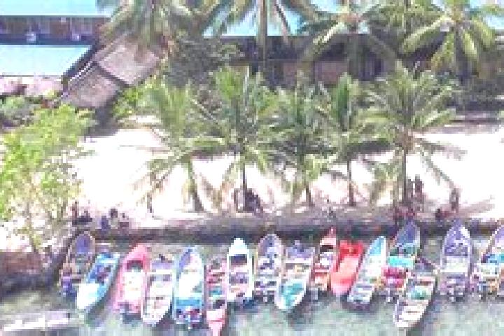 Jade, 31 — Escort in Gizo, Solomon Islands
