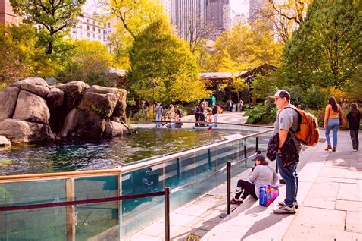 Jade, 31 — Escort in The Central Park, Hong Kong