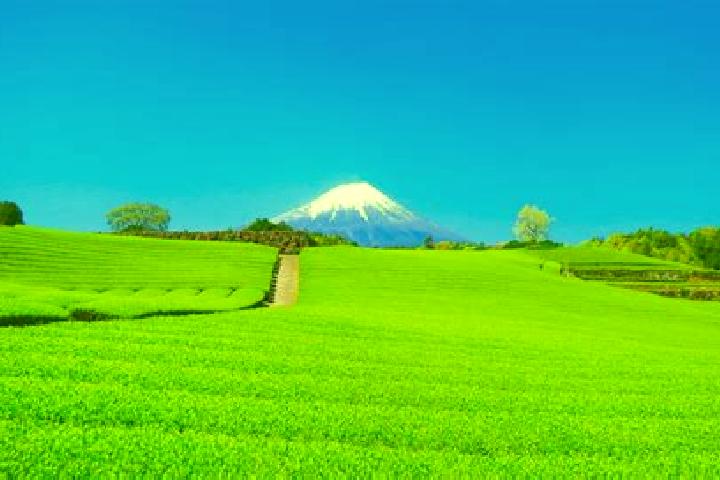 Jade, 32 — Escort in Obuchi, Japan